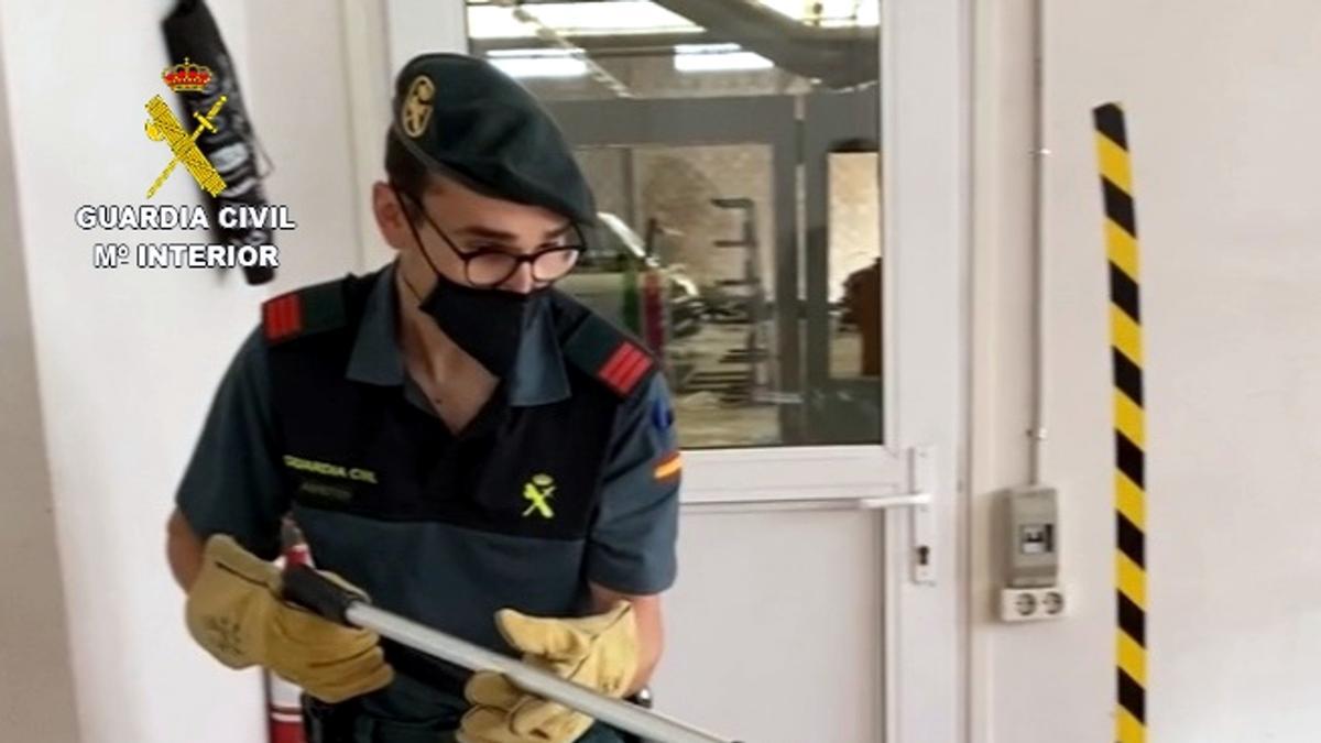 Un agent del SEPRONA de la Guàrdia Civil retirant la serp que va aparèixer a les oficines d&#039;una empresa de Roquetes.