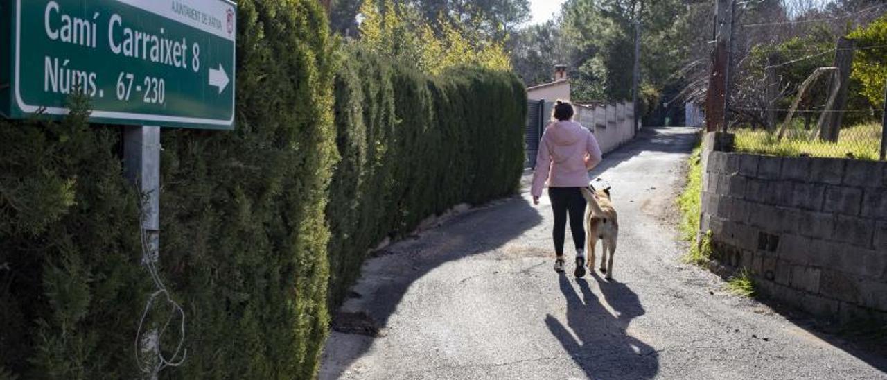 Una vecina pasea con su mascota por el diseminado del Carraixet, en una imagen de archivo. | PERALES IBORRA