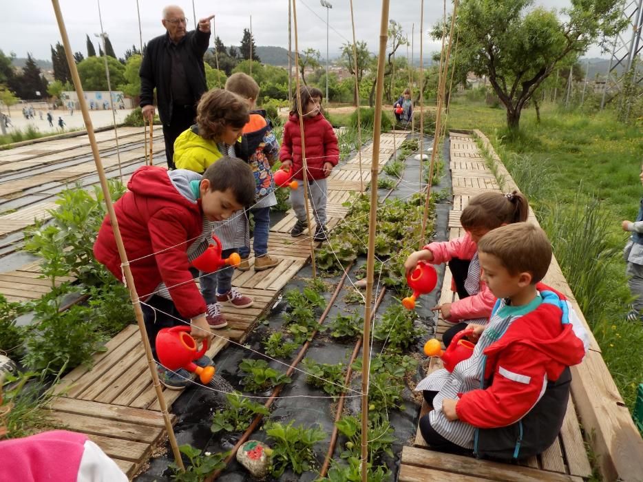 Un hort intergeneracional al pati de l'escola Paidos