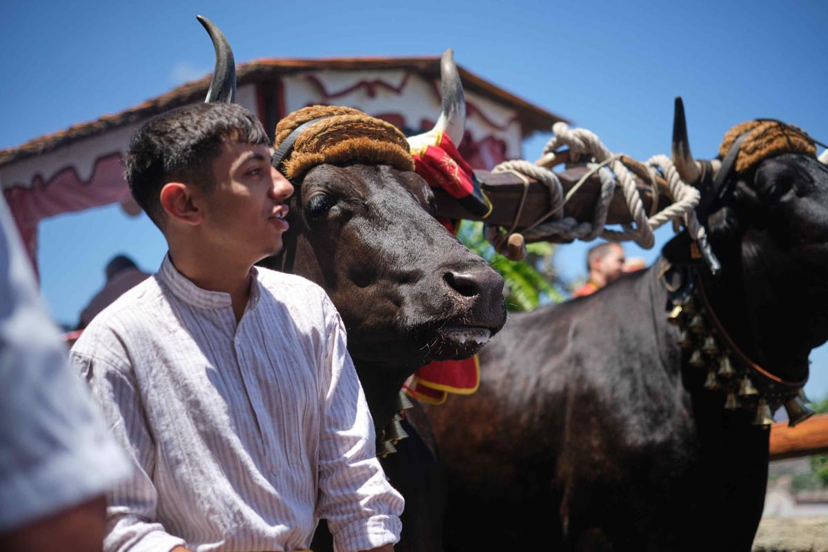 Romería de la Orotava 2023