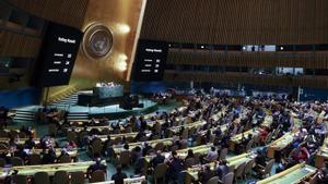 Una reunión de la asamblea de Naciones Unidas.