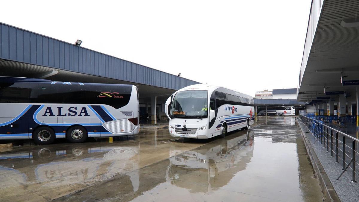 Autobuses de Alsa e Interbus, nuevas concesionarias de los servicios interurbanos de Murcia y Cartagena, en la estación de San Andrés.