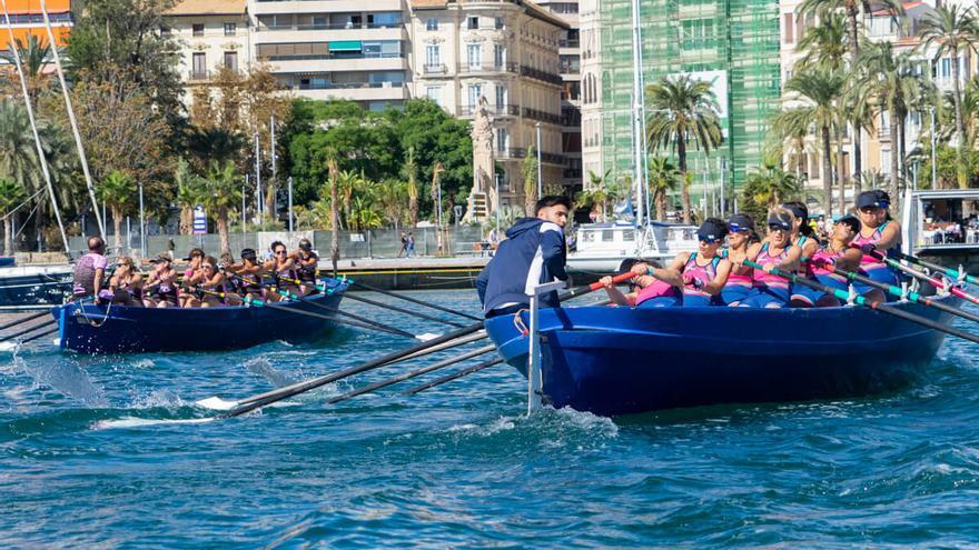 Paladas solidarias en Alicante