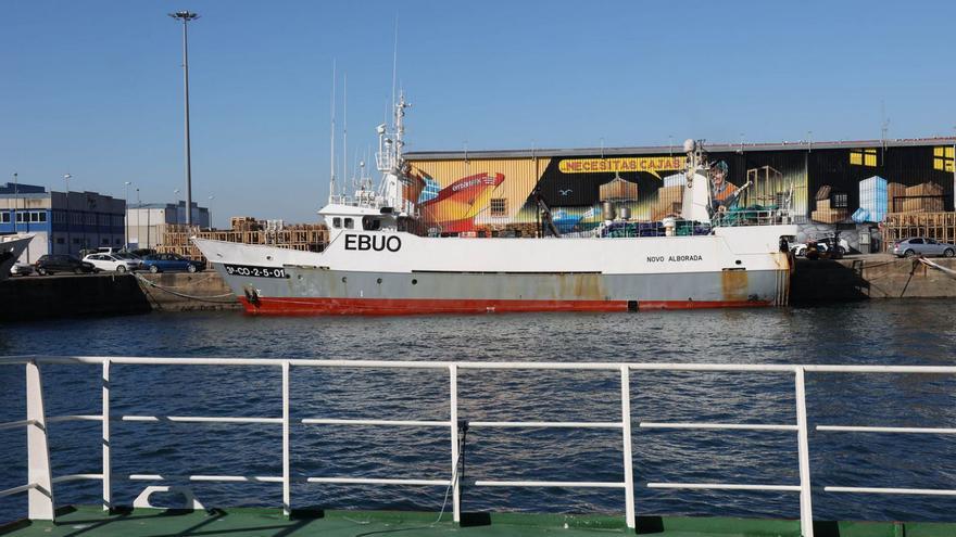 Europa no cobrará aranceles en 3 años a casi un millón de toneladas de pescado foráneo