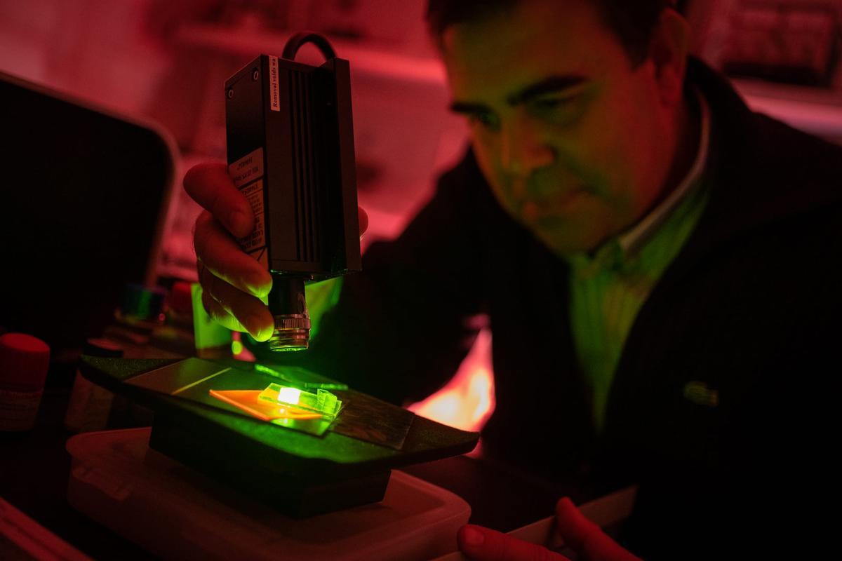 El físico Jorge Méndez prueba las propiedades bioluminiscentes de las tierras raras en su laboratorio.