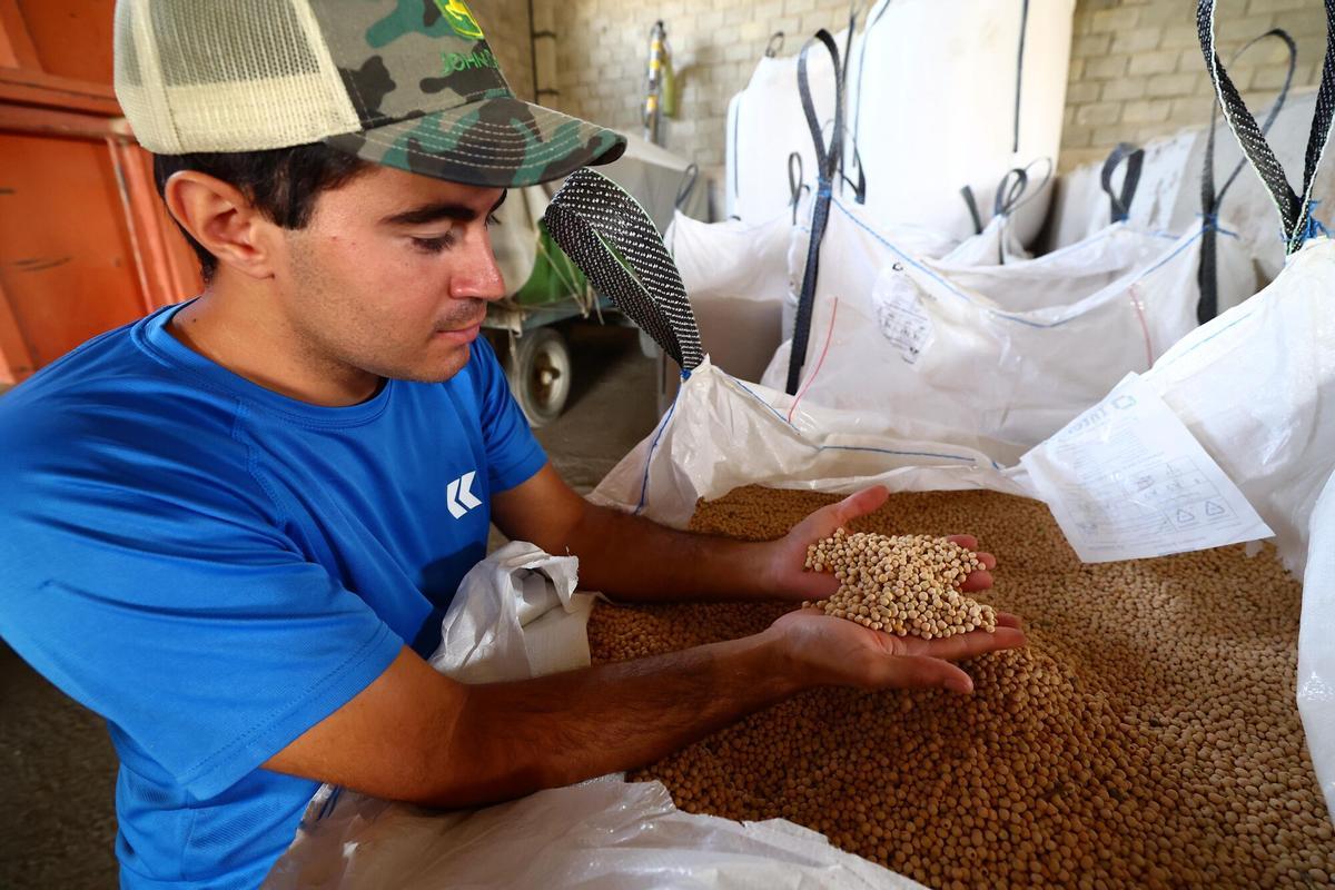 TARDIENTA, HUESCA, FOTOS RECURSO AGRICULTURA JOVEN AGRICULTOR, CEREALES DE SECANO PARA PIENSOS DE ANIMALES, TRABAJO EN EL CAMPO SECTOR PRIMARIO