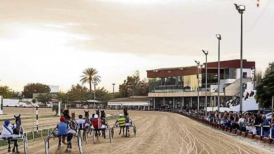 El hipódromo ´manacorí´ precisa de acondicionamientos y una mayor promoción pública.