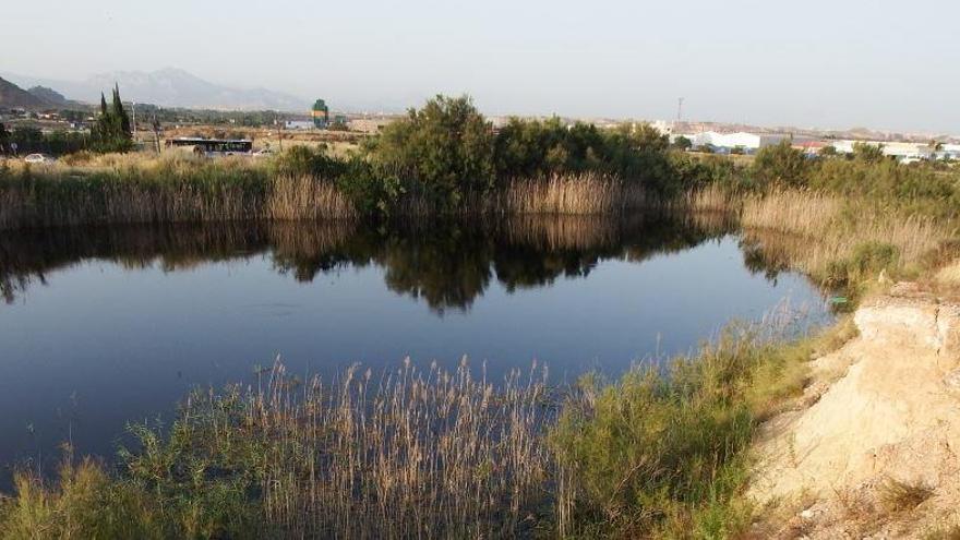 Una de las lagunas de Fontcalent