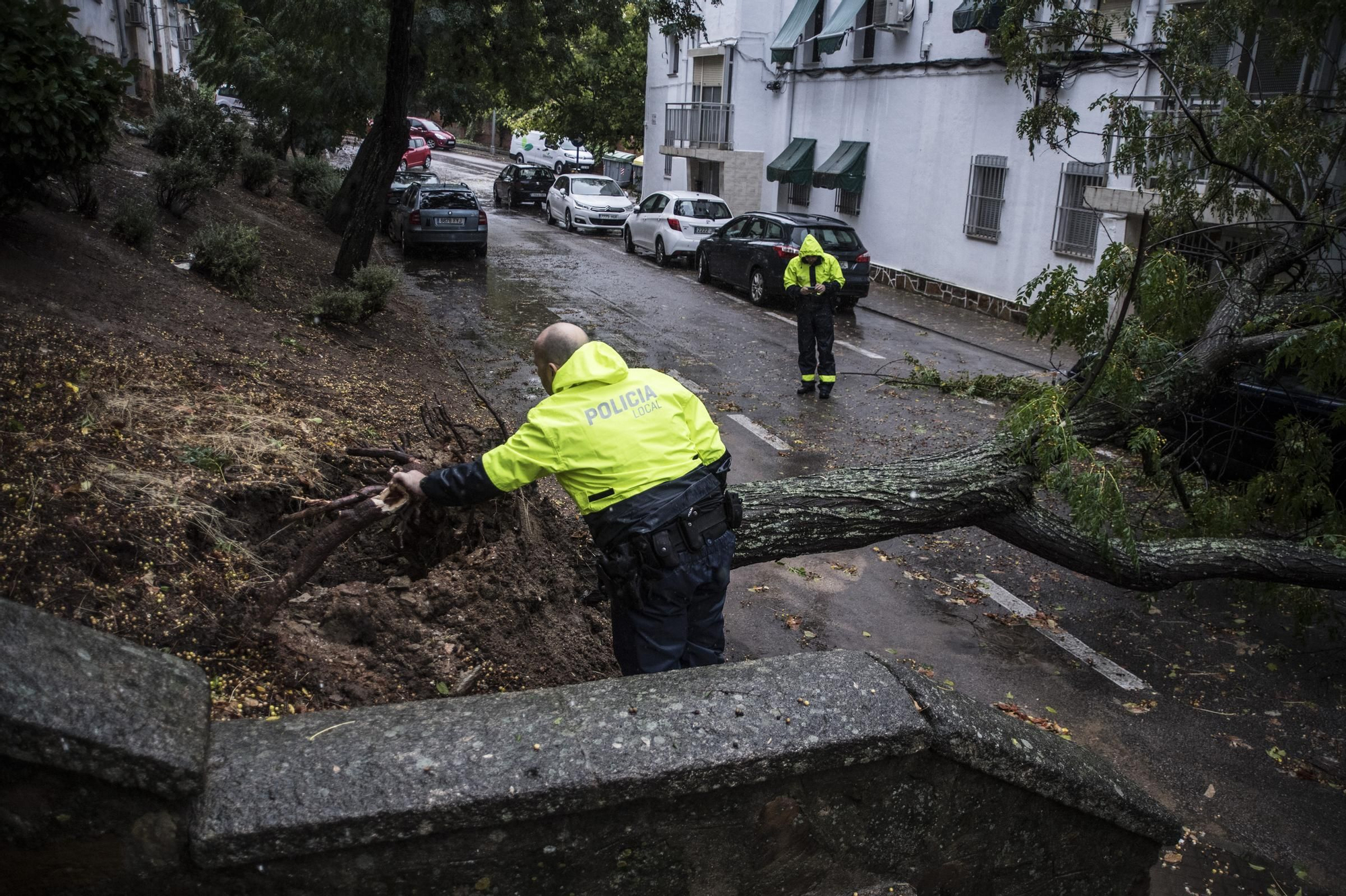 Fotogalería | Así afecta el temporal de lluvia y viento en Cáceres