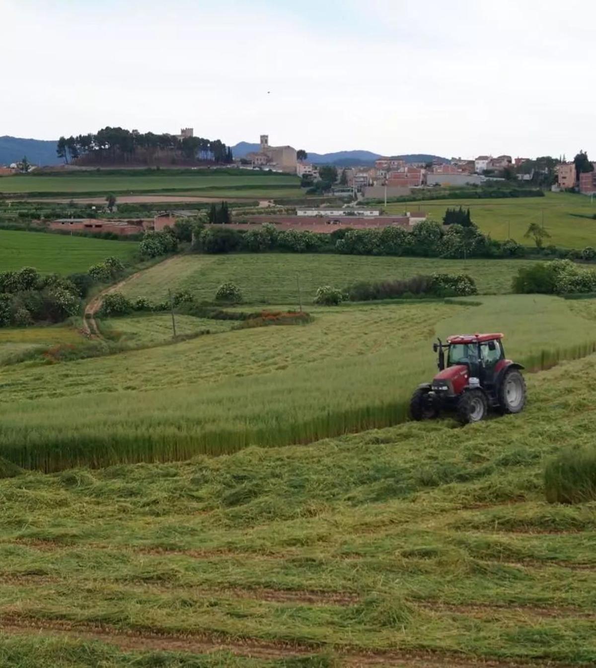La Catalunya rural reclama canvis per "tenir arrelament"