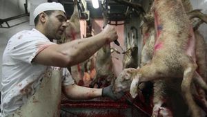 jgblanco14381216 girona   girones   matadero sacrificio halal 28 10 10 foto j170513124458