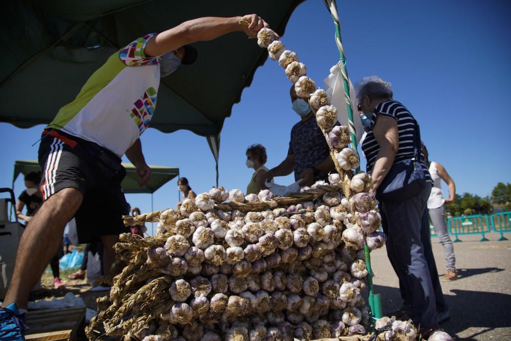 La Feria del Ajo de Zamora, reconvertida en Ifeza