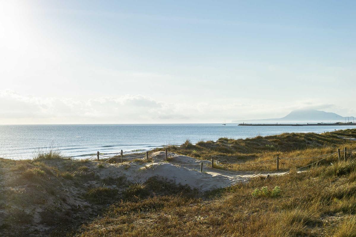 Playa de Terranova, Oliva