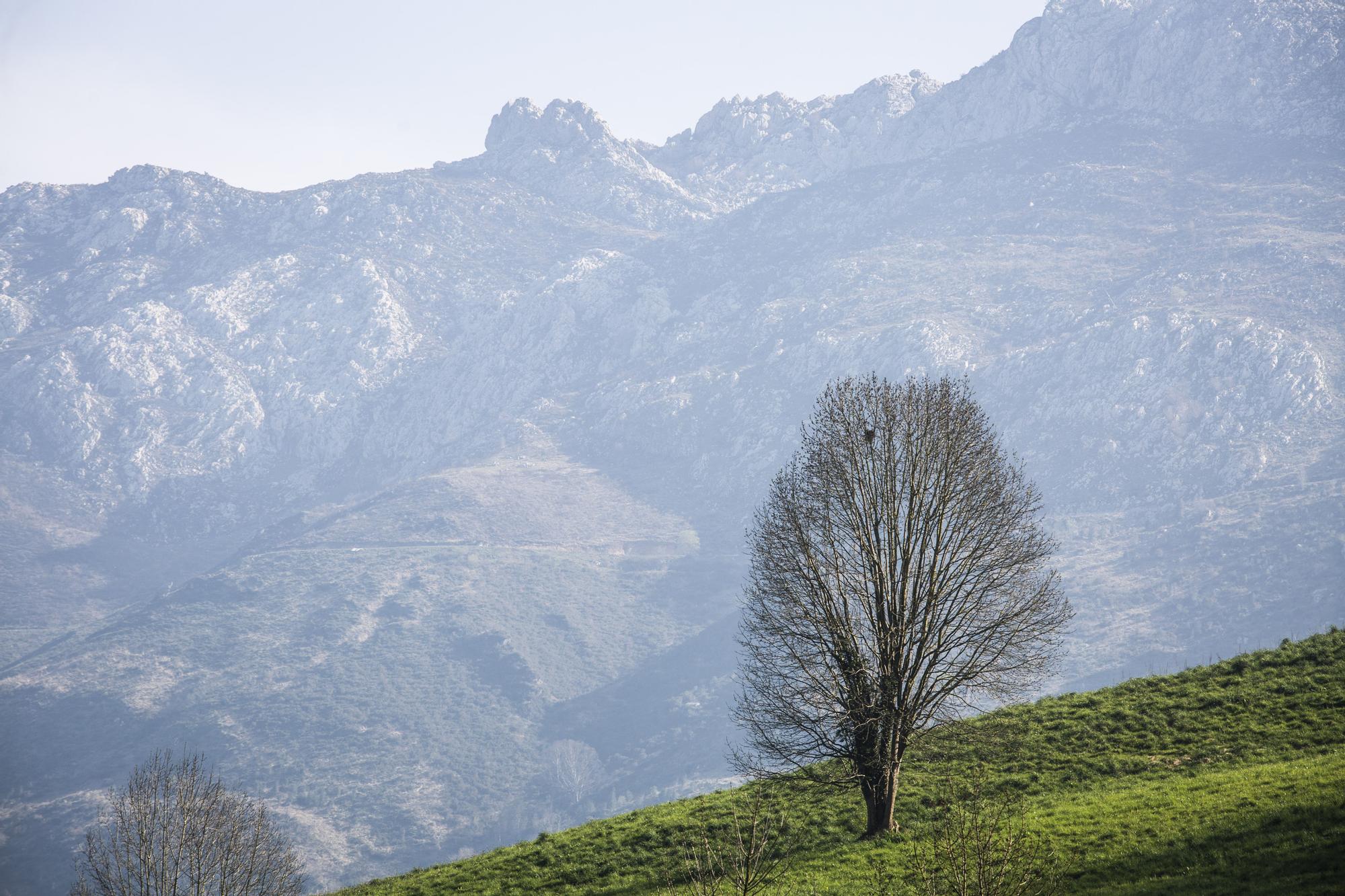 Asturianos en Cabrales: un recorrido por el municipio