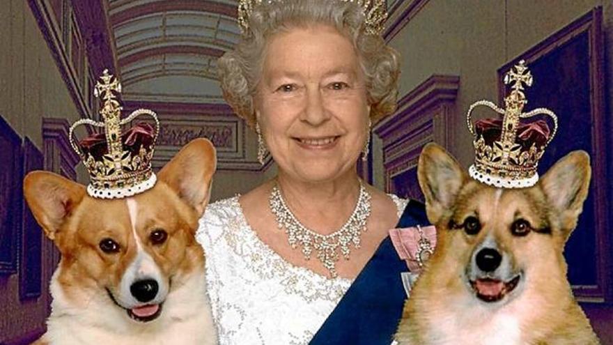 Els gossos d&#039;Elisabet II fan una dieta homeopàtica