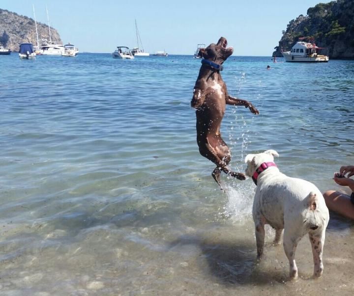 Fotowettbewerb Mallorca und das Meer