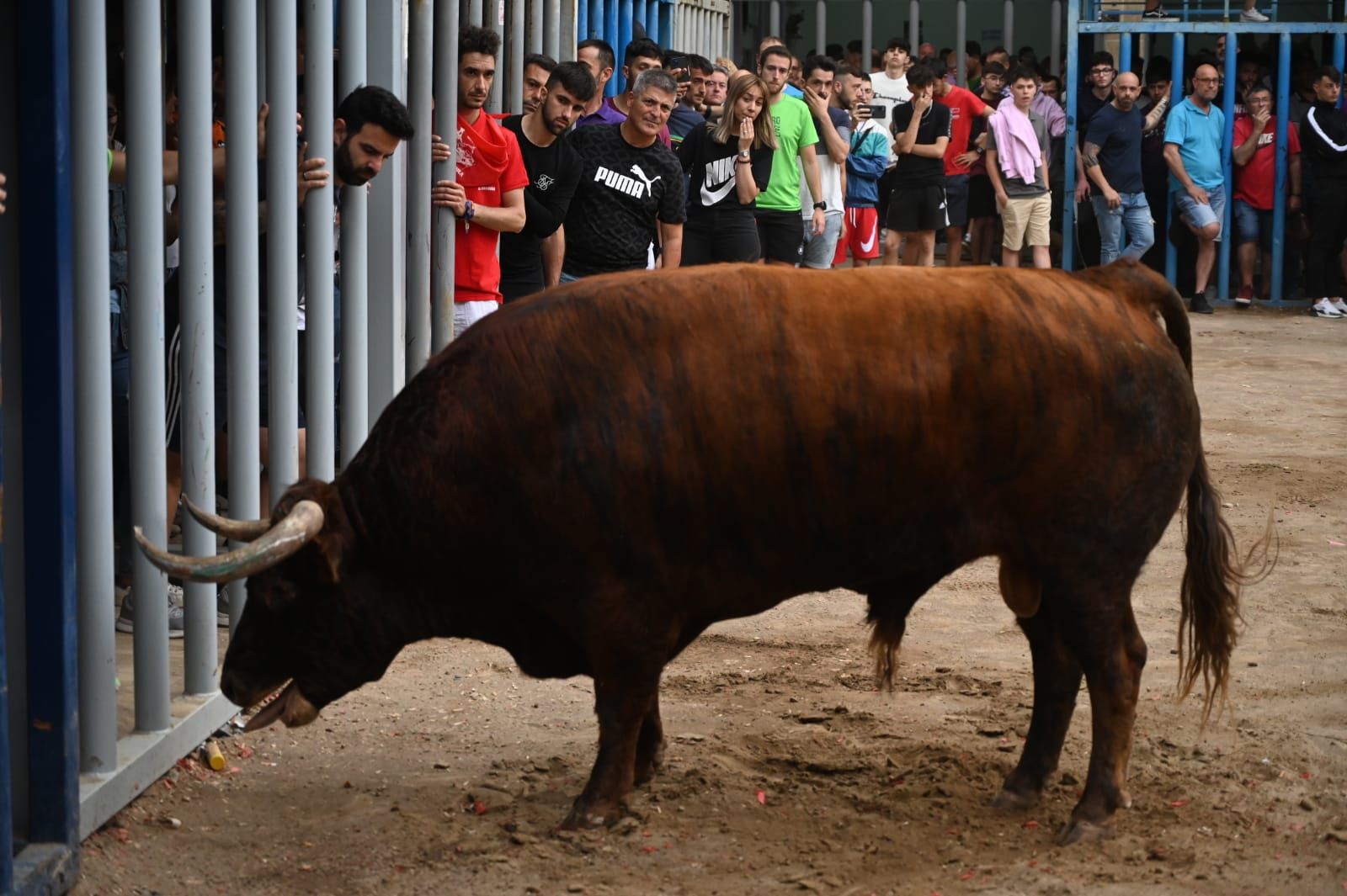 Las mejores fotos que ha dejado la tarde taurina del martes en las fiestas de Almassora 2022