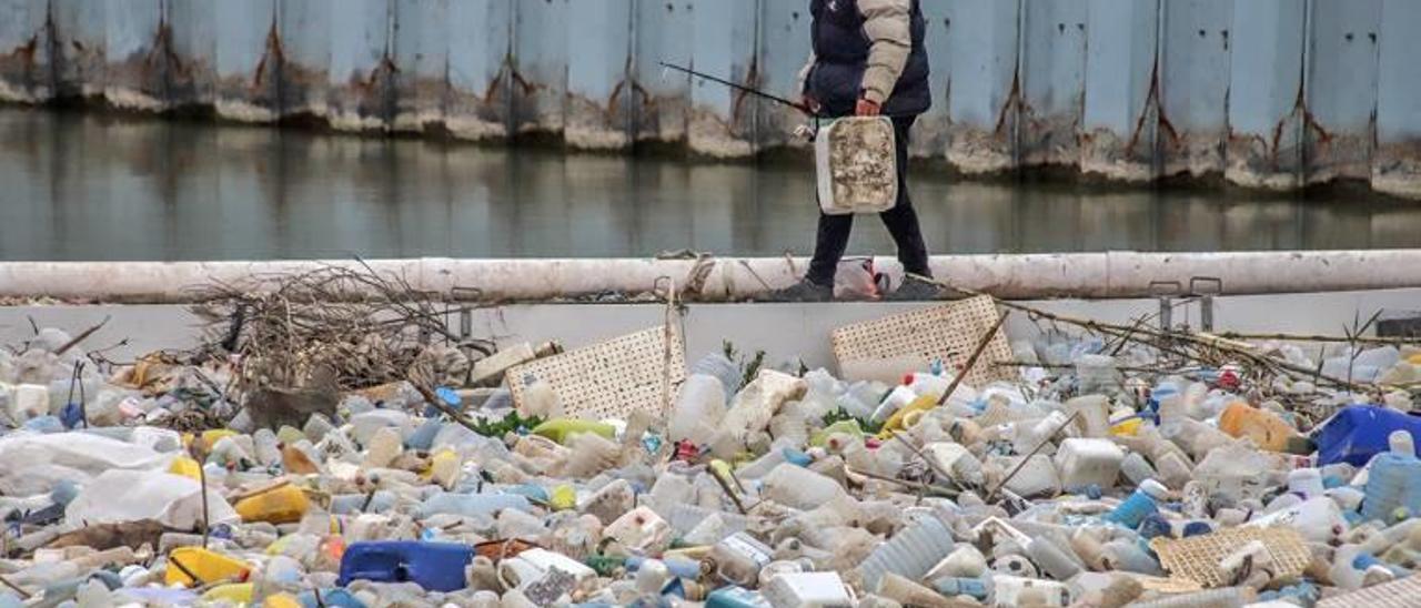 Una campaña de recogida de plástico en el río Segura, en la zona de Guardamar.
