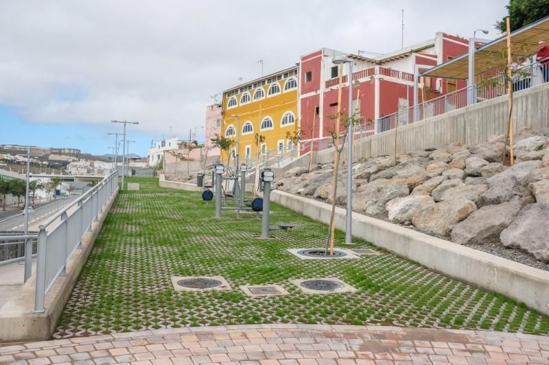 Las Palmas de Gran Canaria. Recorrido por el Corredor Verde de Tamaraceite  | 03/03/2020 | Fotógrafo: José Carlos Guerra