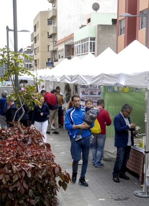 FERIA DEL NORTE