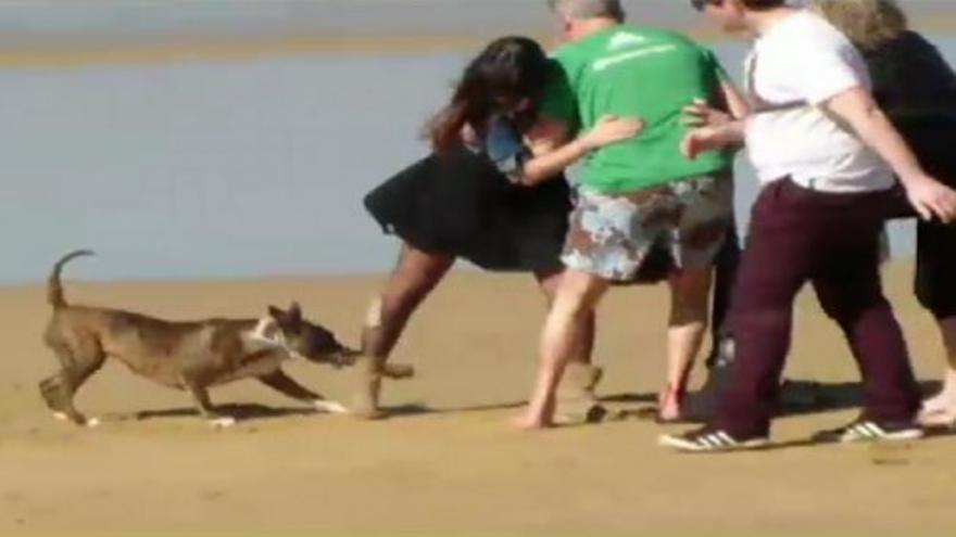 Un perro ataca a un grupo de paseantes en la playa de la Concha