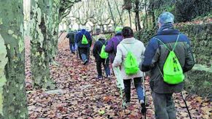 Capellades col·labora amb el Mou-te amb un taller de marxa nòrdica | AJUNTAMENT DE CAPELLADES