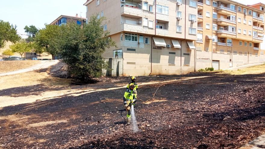 Más del 70% de los solares municipales de Plasencia se han desbrozado