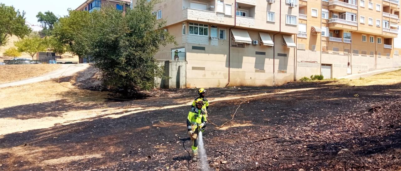 Zona del último fuego de pasto en Plasencia, que ya había sido desbrozada.