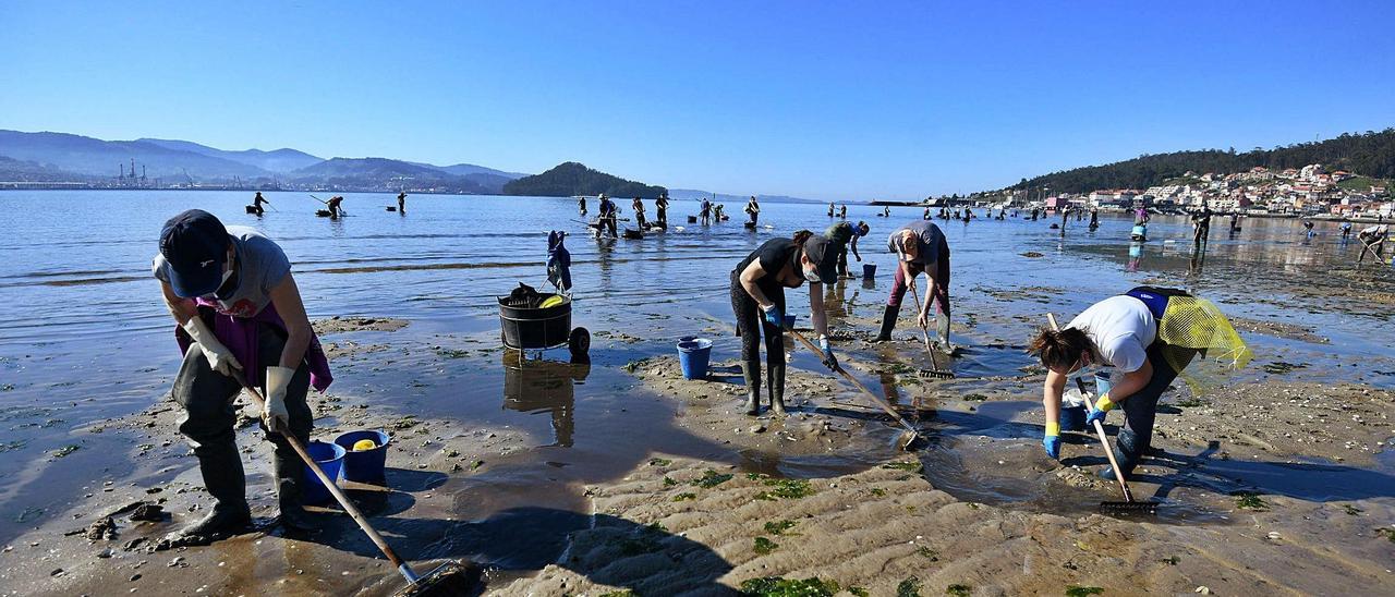 Un grupo de mariscadoras trabaja en un banco de la ría.