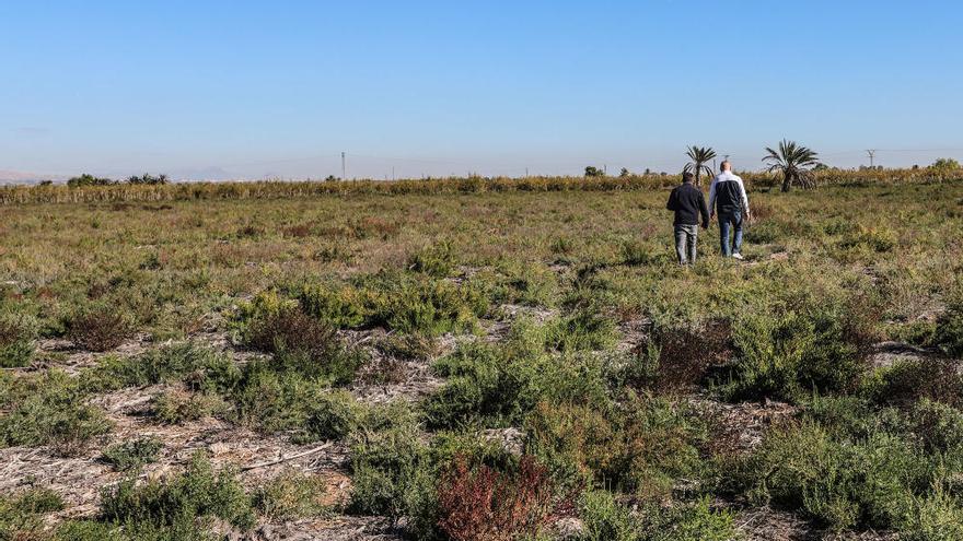 Campo de concentración de Albatera