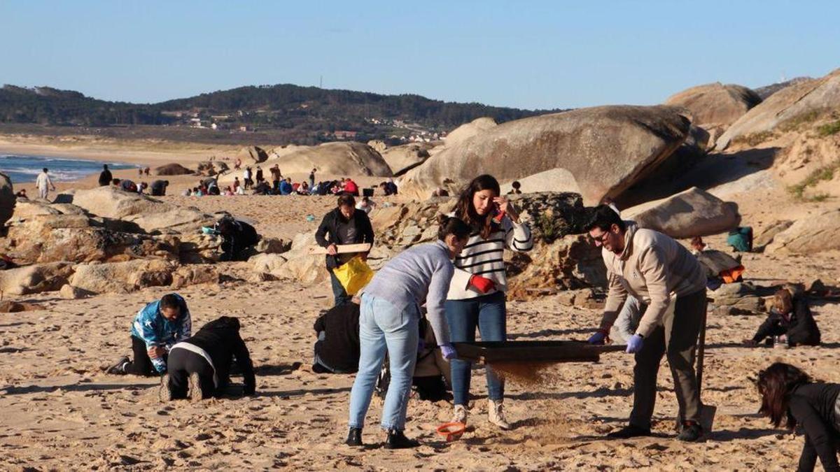 Voluntarios en la playa de O Vilar, en la localidad de Ribeira.