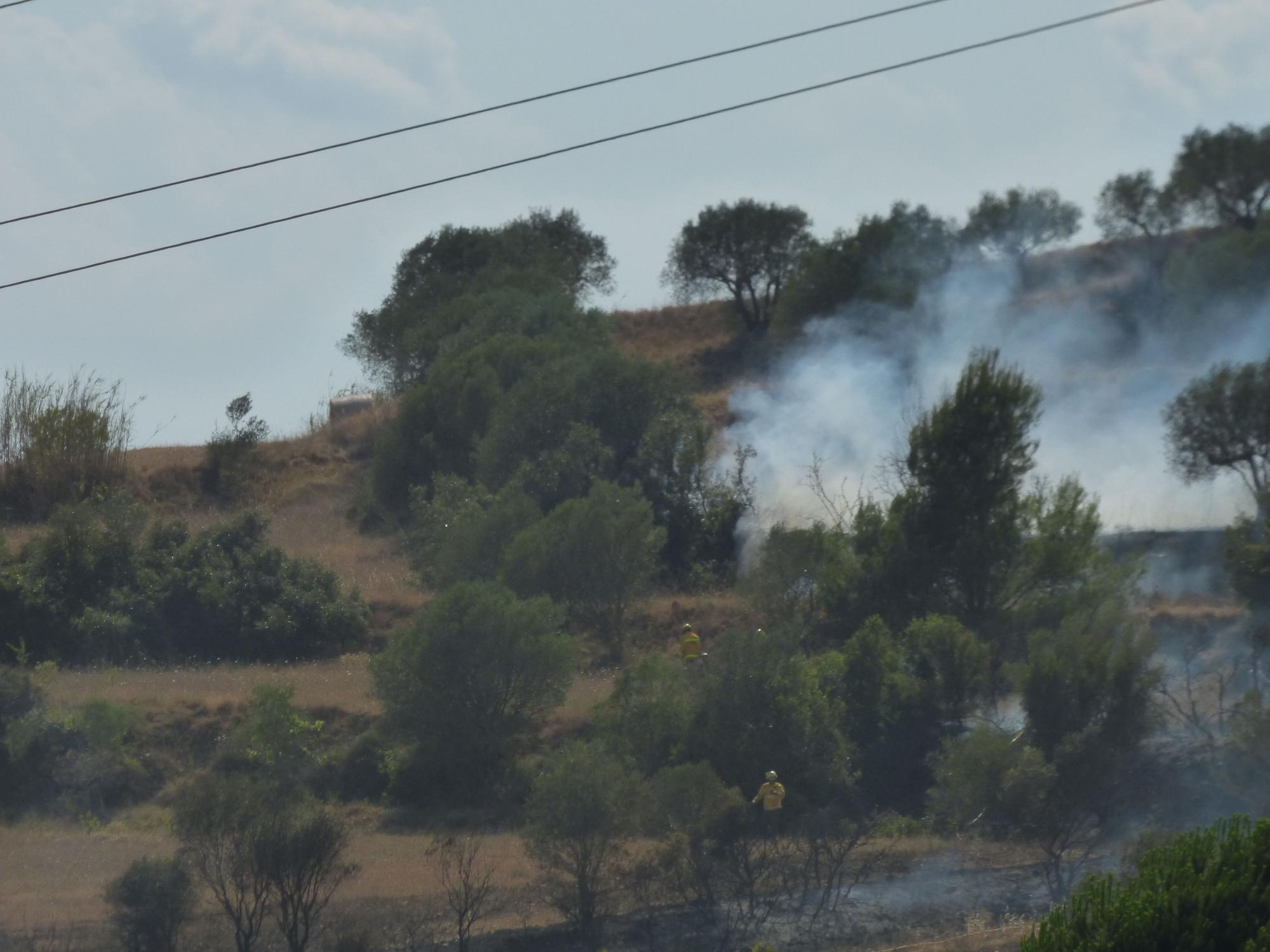 Un incendi ha cremat 3,5 hectàrees al costat de l'Ap7 a Vilafant