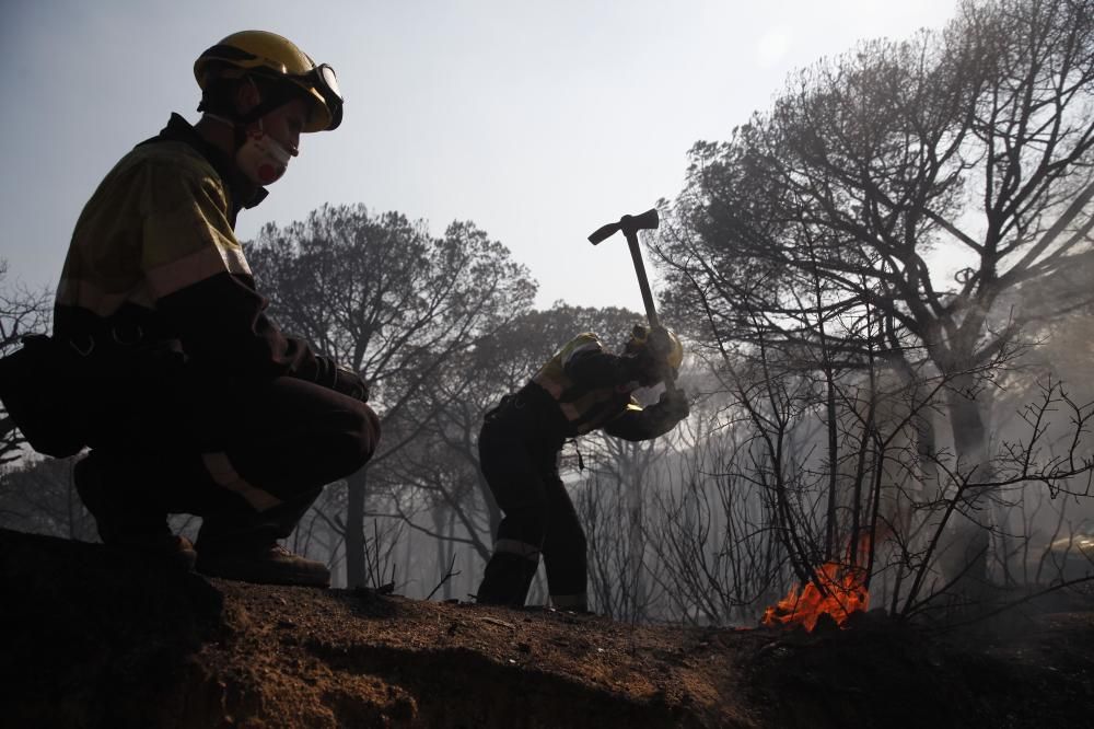 Incendi forestal a Blanes