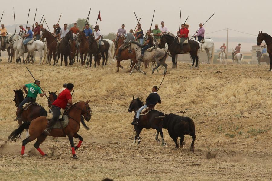 Segundo encierro taurino en Guarrate