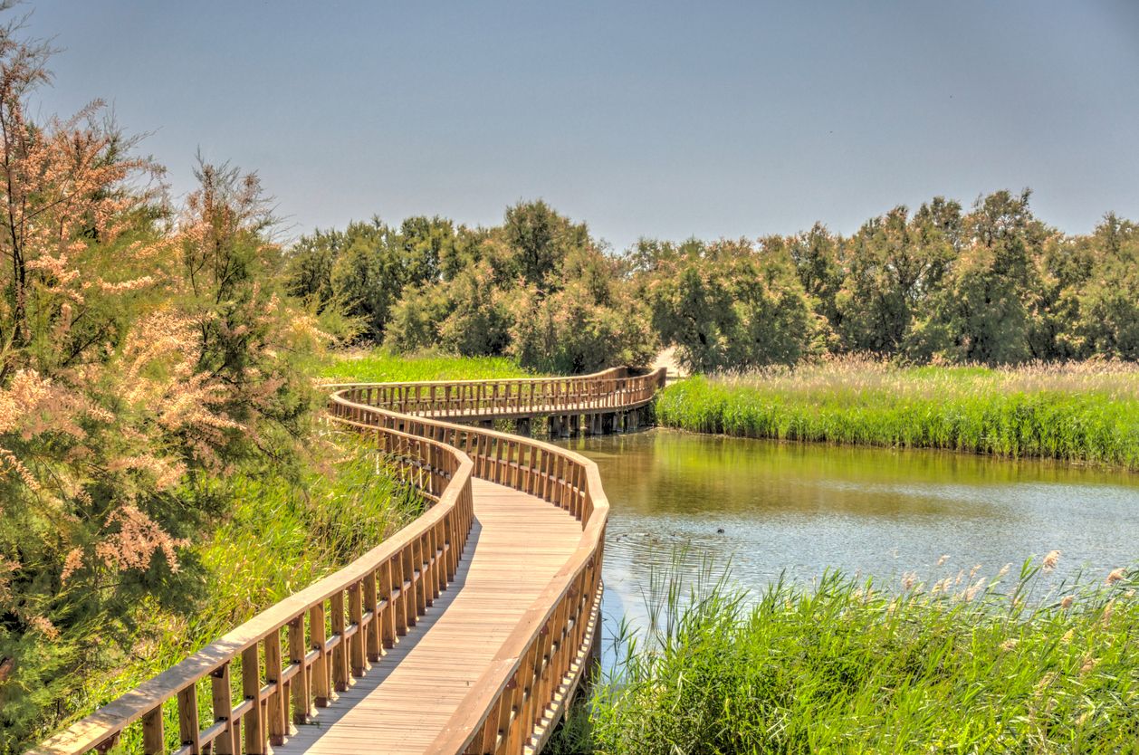 Las rutas para recorrer el parque se hacen a través de pasarelas