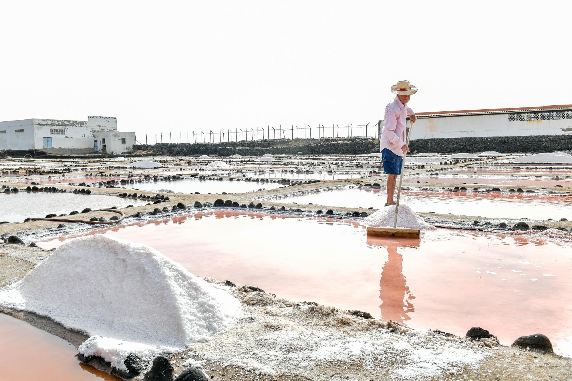 Salinas de Vargas