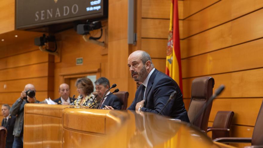 El presidente del Senado, Pedro Rollán, interviene durante una sesión plenaria.