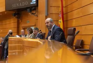 El PSOE rectifica y pide al Senado cancelar la cumbre de la ultraderecha contra el aborto