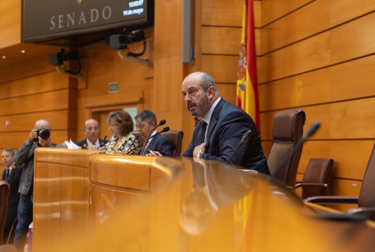 El presidente del Senado, Pedro Rollán, interviene durante una sesión plenaria.