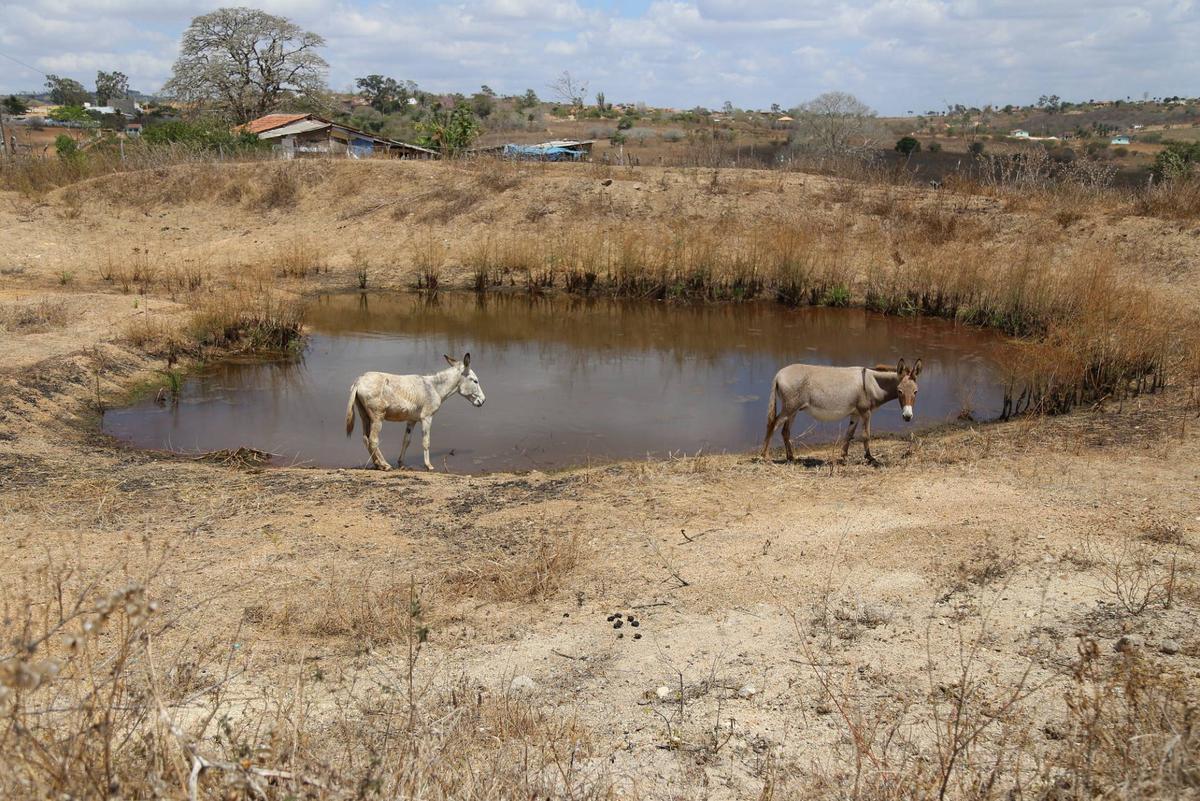 El calor extremo golpeará a numerosos países ya afectados por el calentamiento