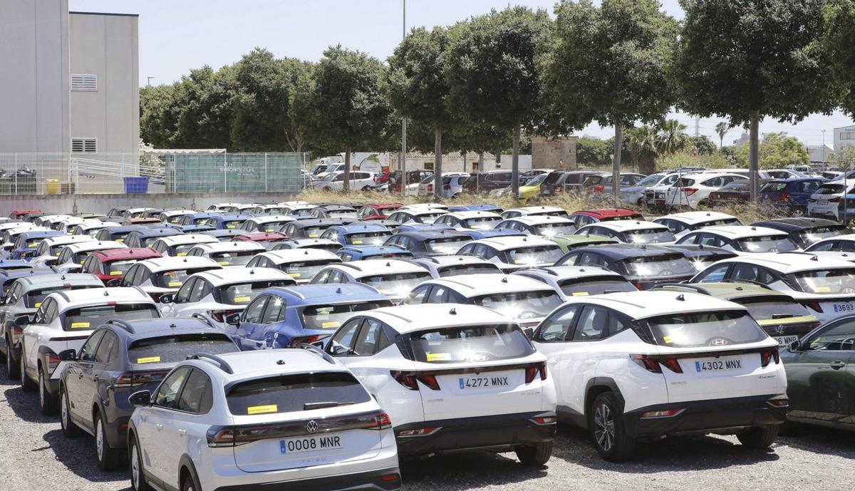 Im Winter sind die Parkplätze der Vermieter voll. Um Platz zu schaffen, bieten die Firmen die Mietwagen zu Spottpreisen an.