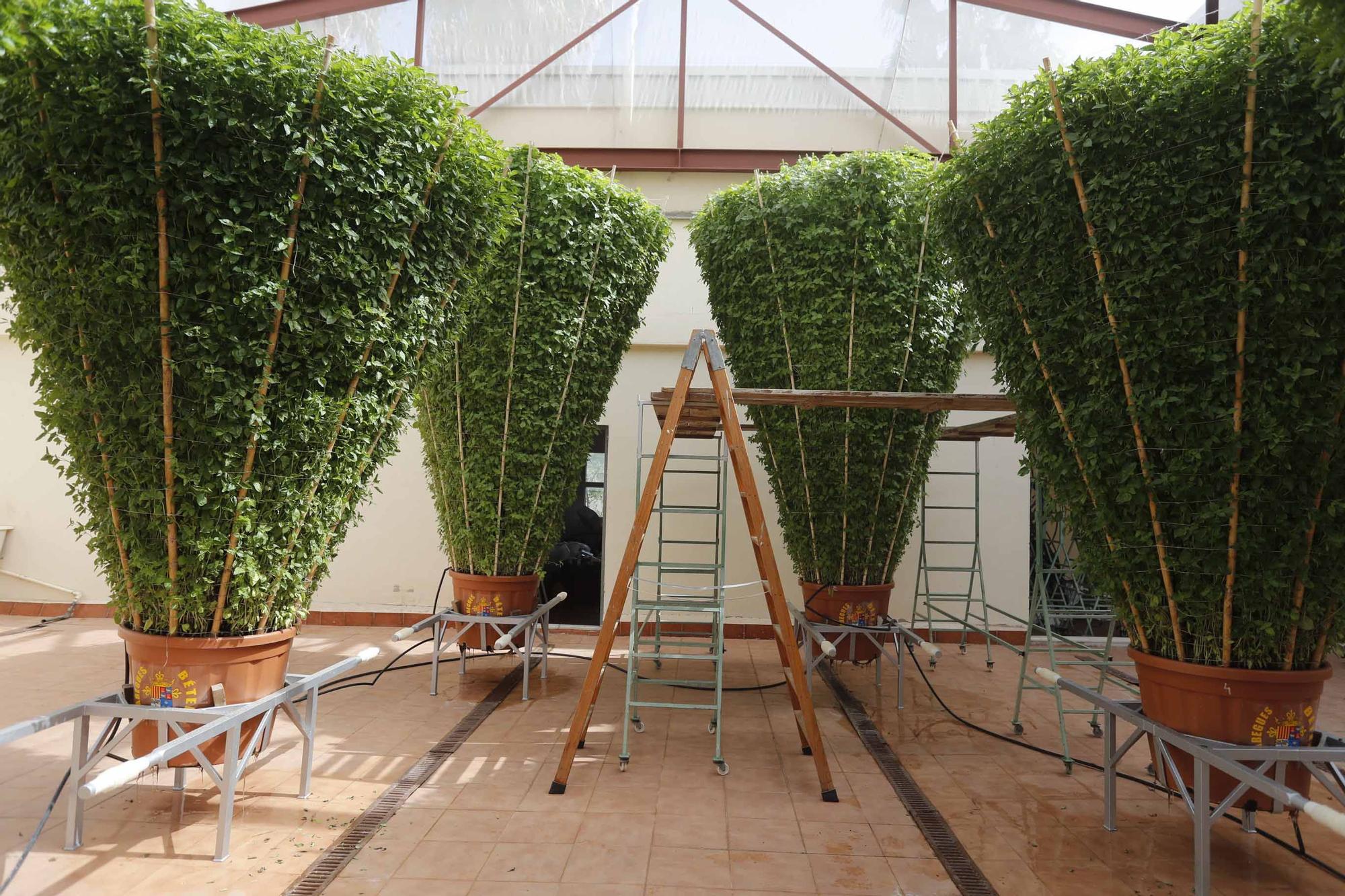 Las alfàguebes de Bétera marcan un nuevo Record Guinness