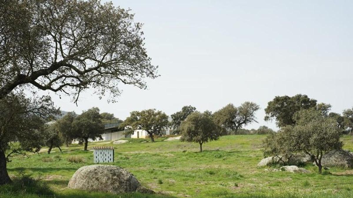 Finca municipal La Serrezuela, en Don Benito.