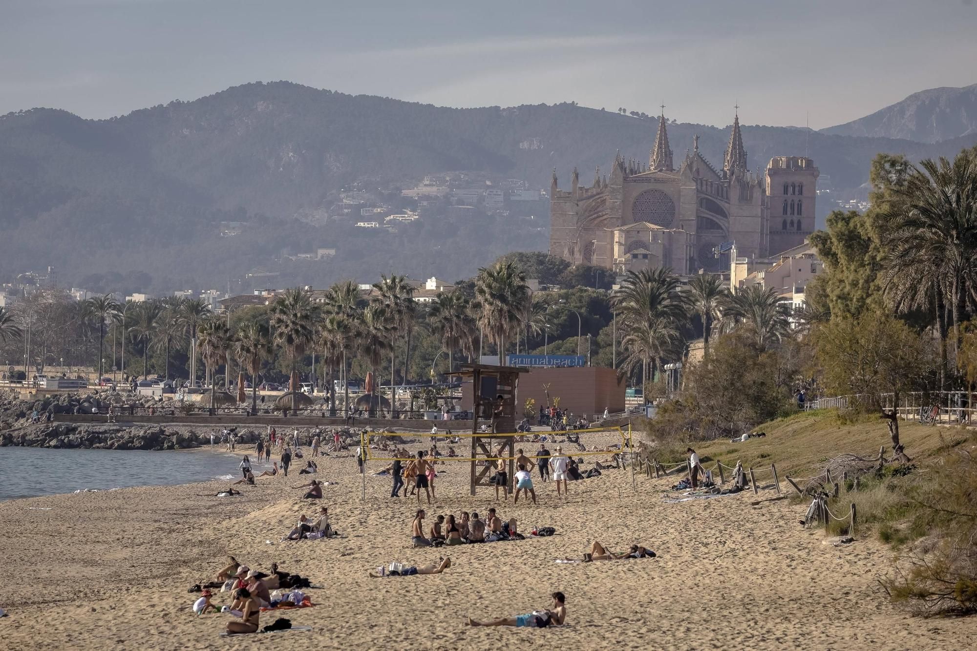 Als ob schon Sommer wäre: So genießen die Menschen das Strandwetter auf Mallorca