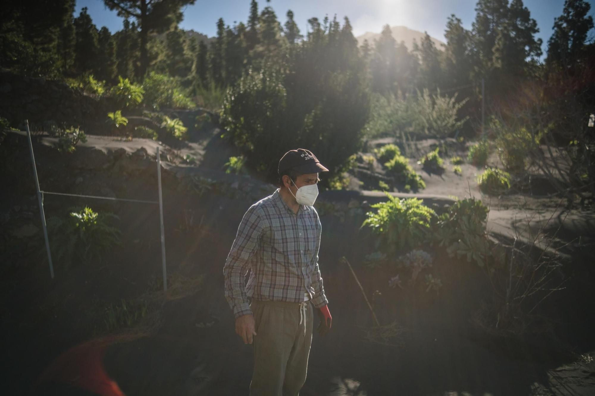 Regreso a sus hogares de los desplazados por el volcán de La Palma