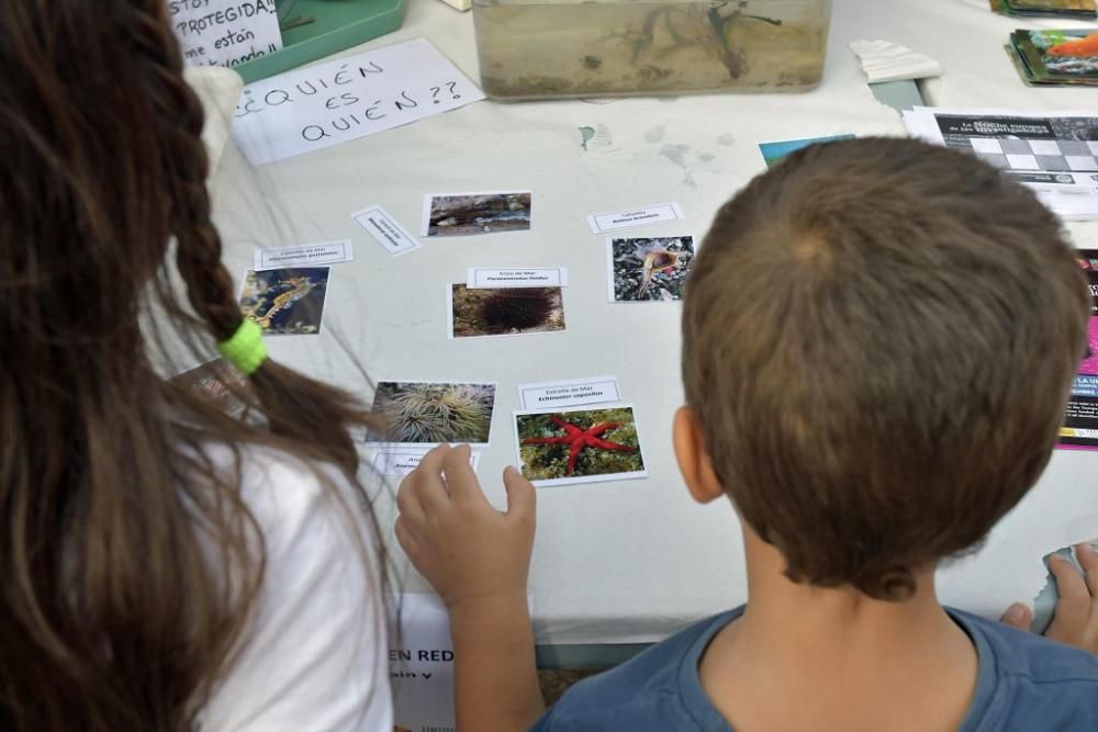 La Noche de los Investigadores en Murcia