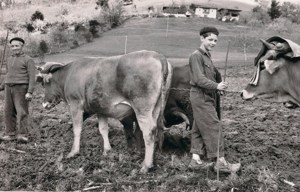 El Muséu del Pueblu d'Asturies publica el legado fotográfico de Julio Fernández Lamuño