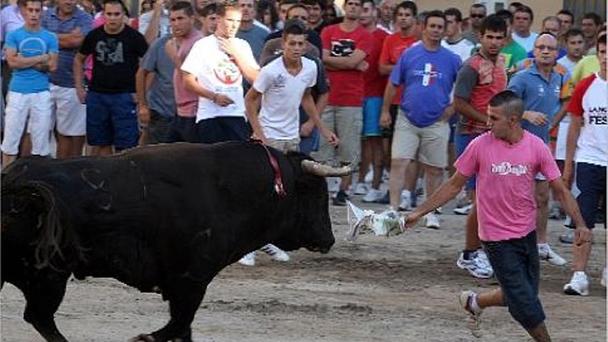 El animal de la ganadería de Martín Lorca durante la exhibición de anteayer por la tarde.