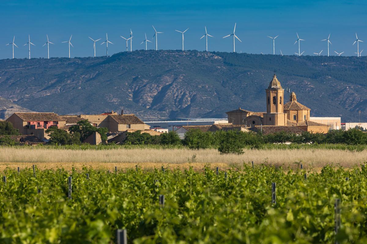 Viñedos Campo de Borja