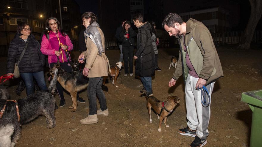 El área canina de Santa Margarita se debatirá en el pleno de A Coruña